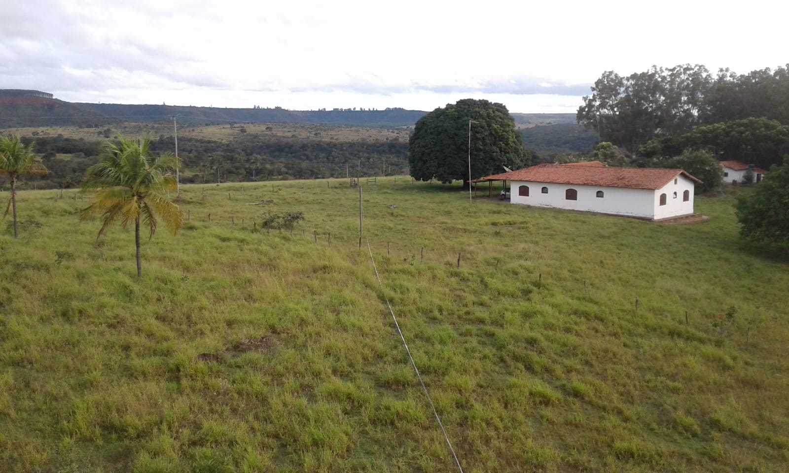 Fazenda, 3260 hectares - Foto 12