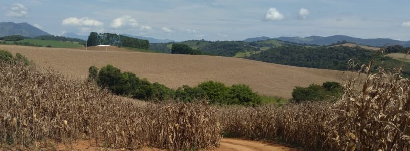 Fazenda, 177 hectares - Foto 3