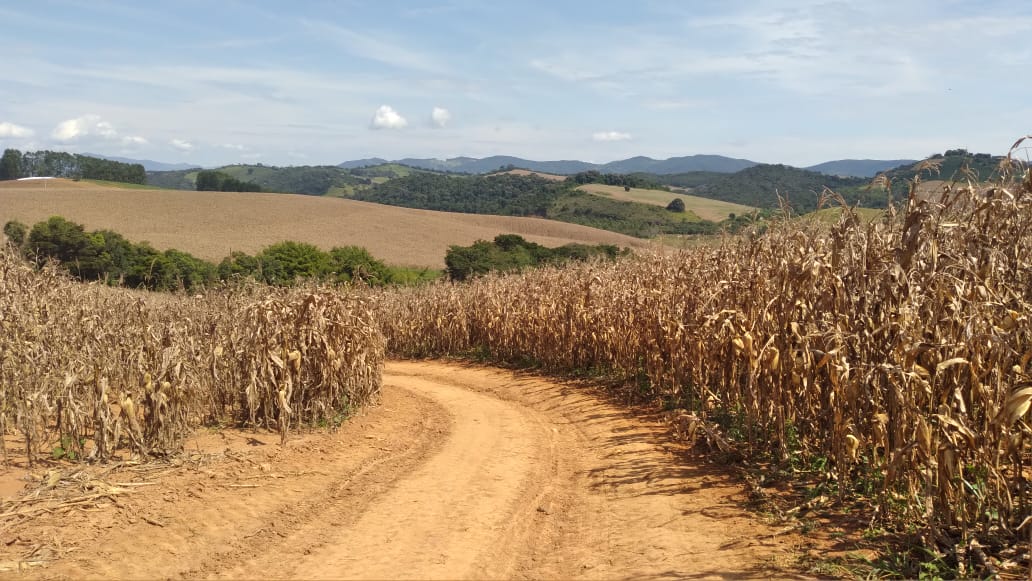 Fazenda, 177 hectares - Foto 5