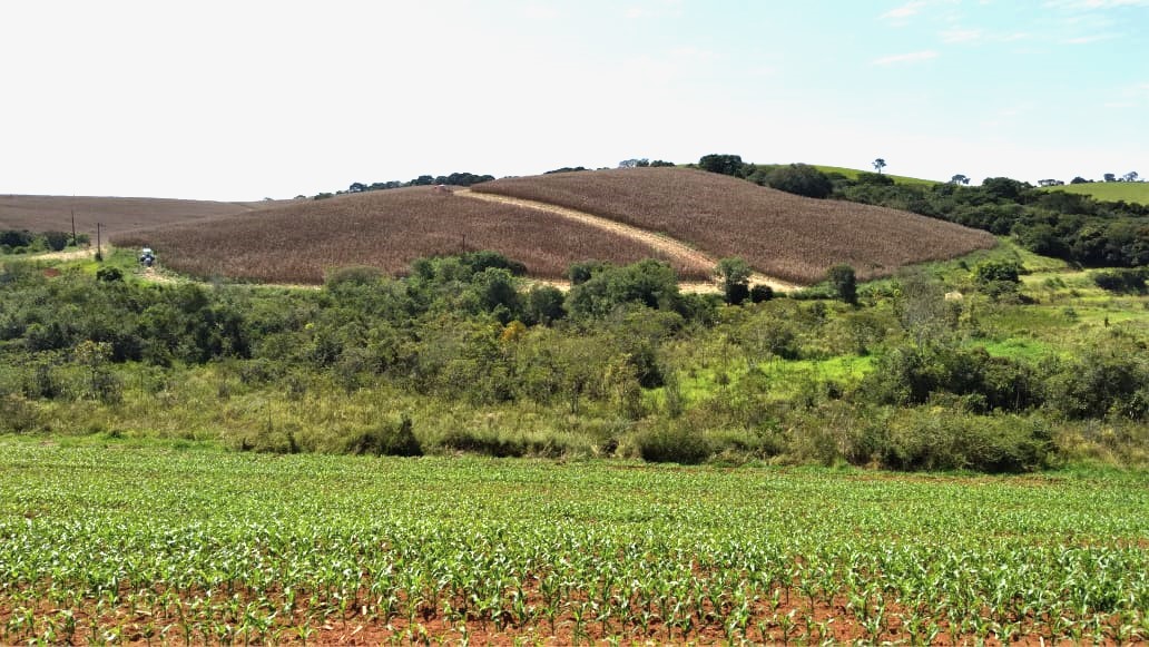 Fazenda, 177 hectares - Foto 1