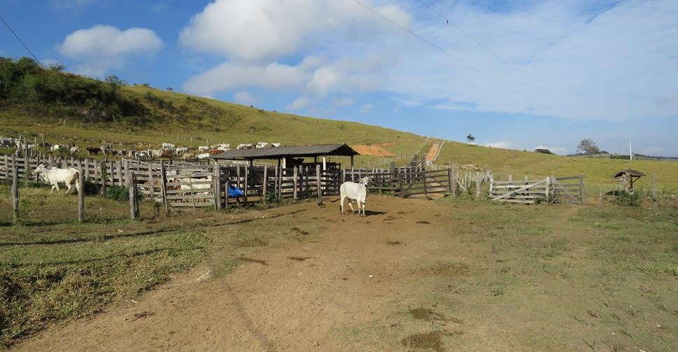 Fazenda, 460 hectares - Foto 2