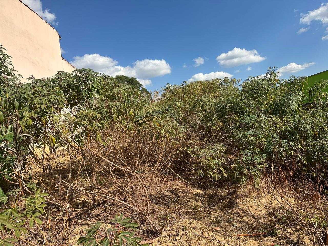 Terreno, 317 m² - Foto 2