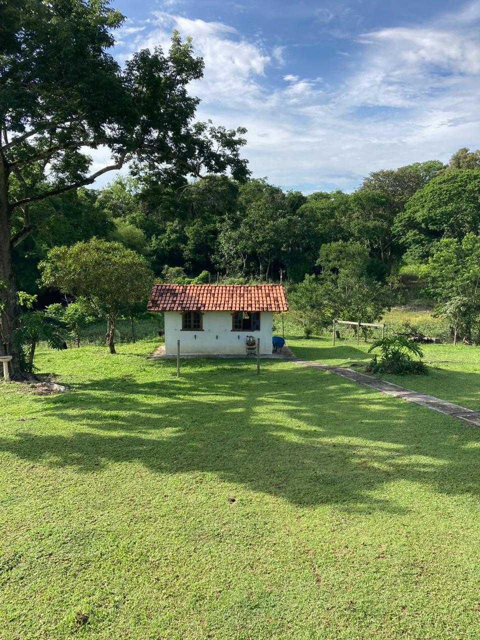 Fazenda, 103 hectares - Foto 4