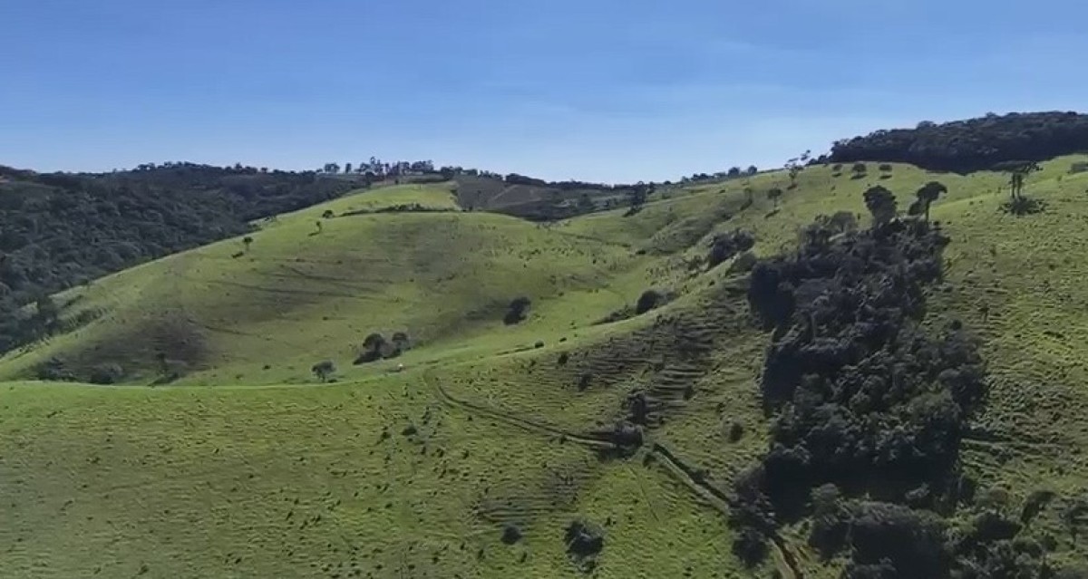 Fazenda, 286 hectares - Foto 9