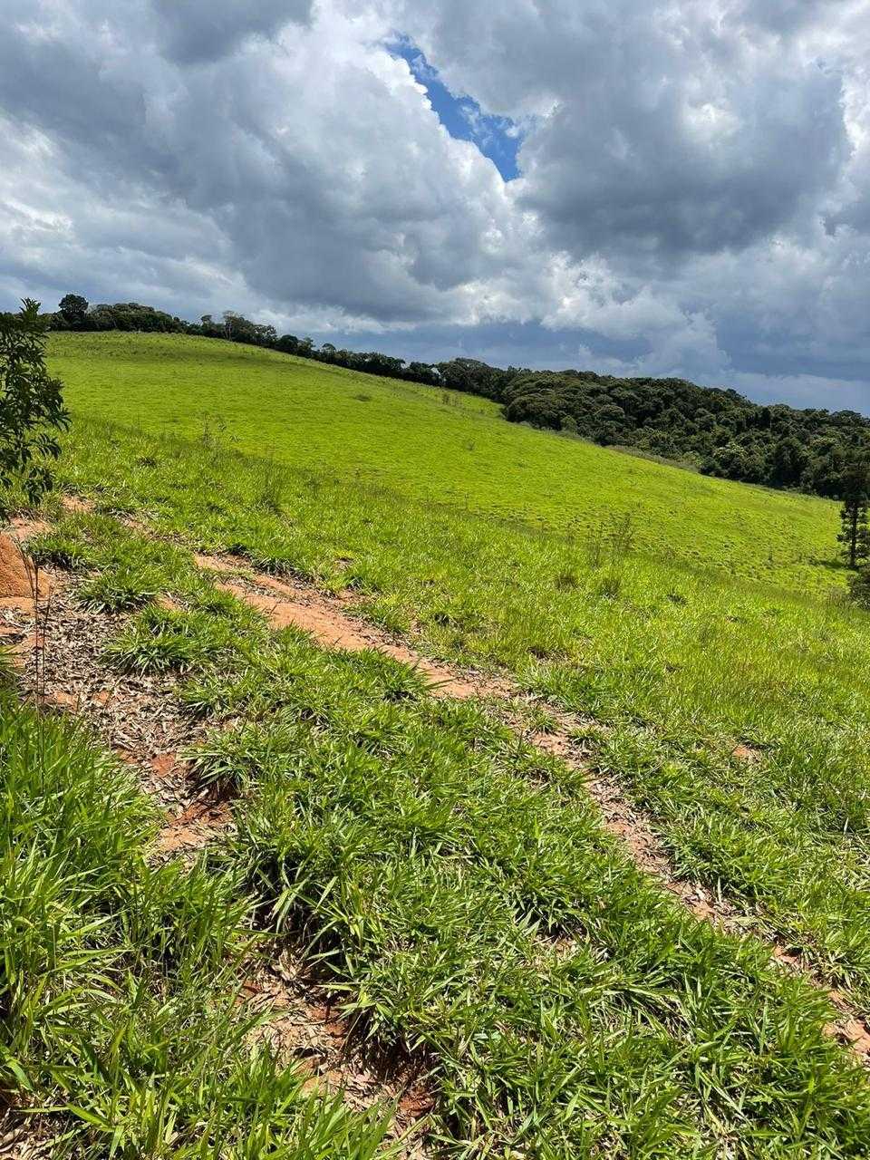 Fazenda, 286 hectares - Foto 16