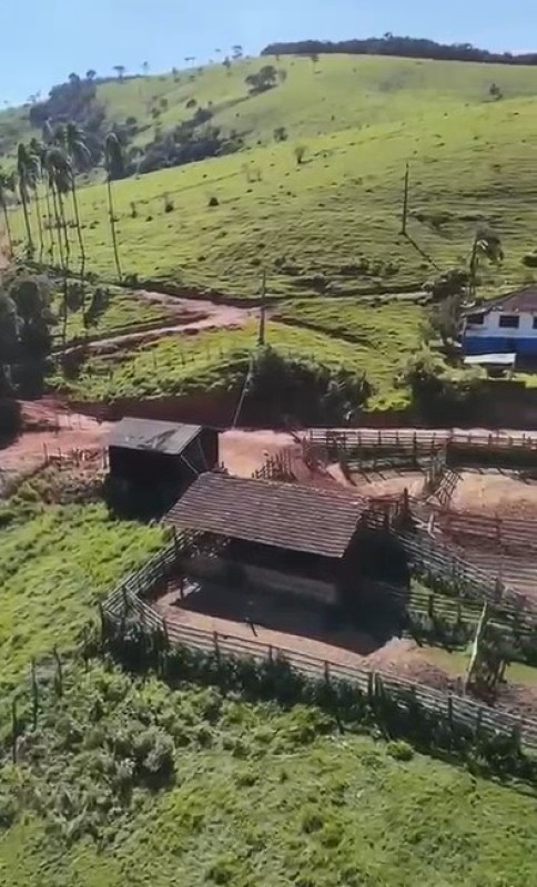 Fazenda, 286 hectares - Foto 7