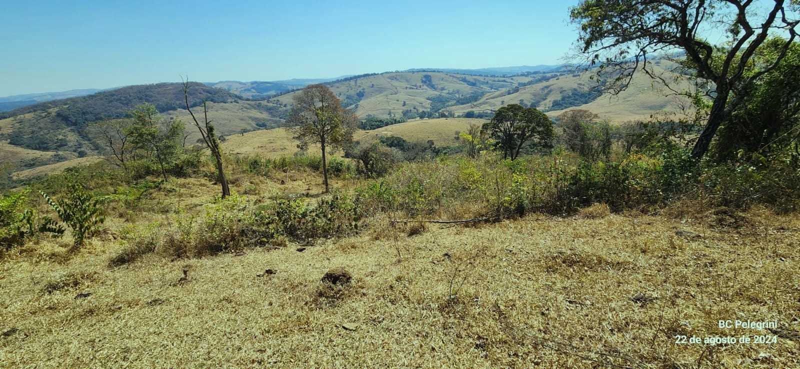 Chácara, 3 quartos, 722 hectares - Foto 6