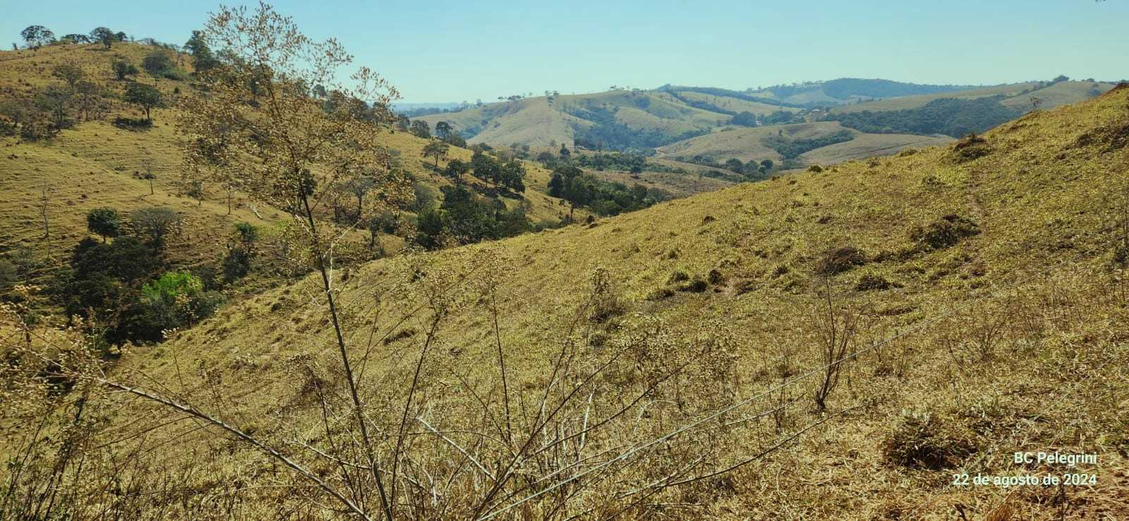 Chácara, 3 quartos, 722 hectares - Foto 23