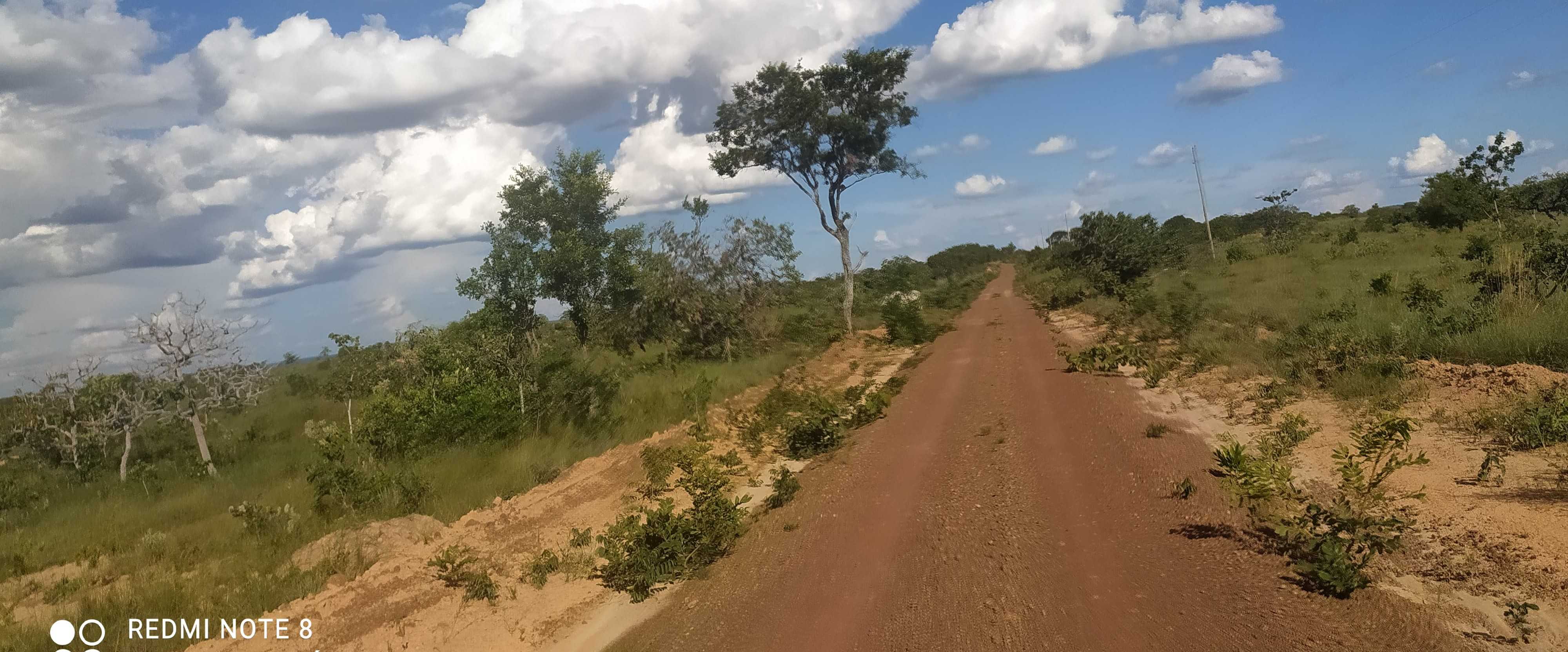 Fazenda, 615 hectares - Foto 5