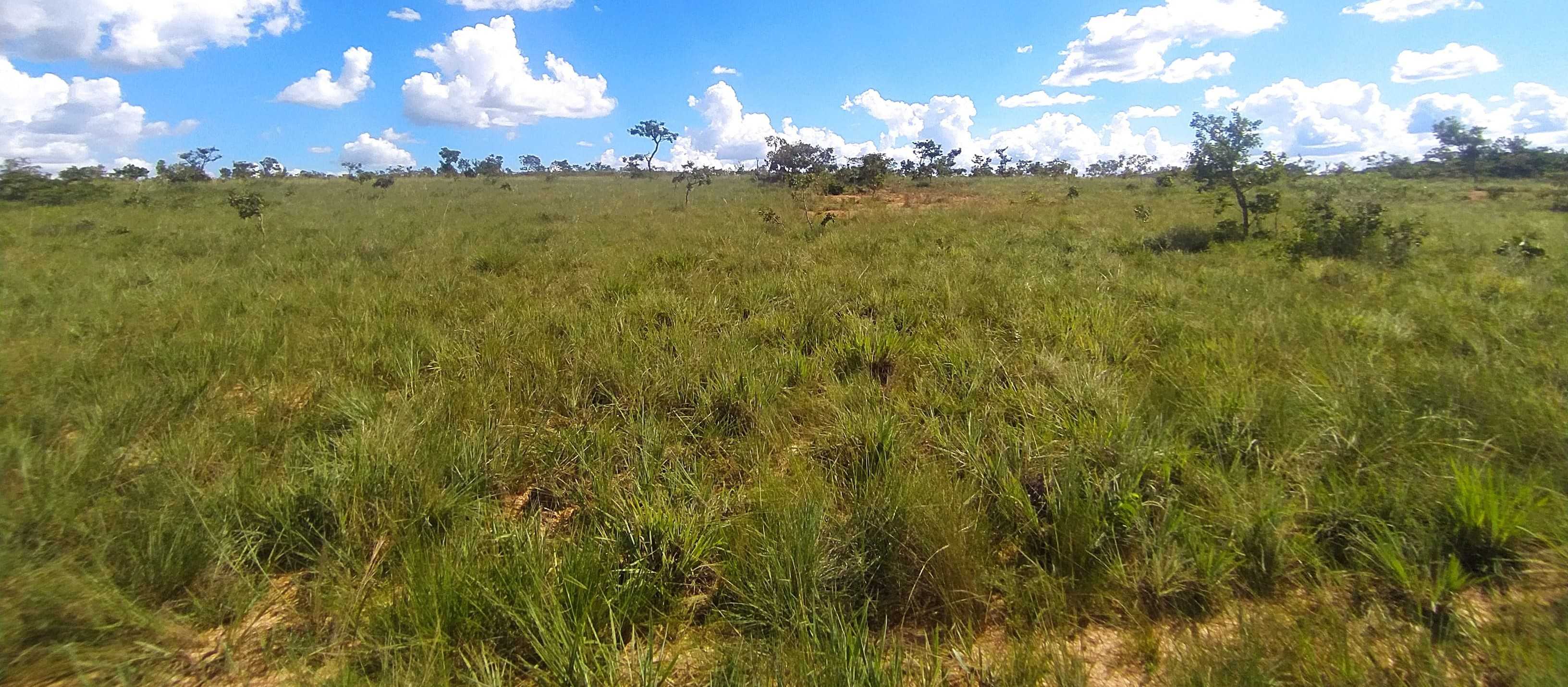 Fazenda, 615 hectares - Foto 2
