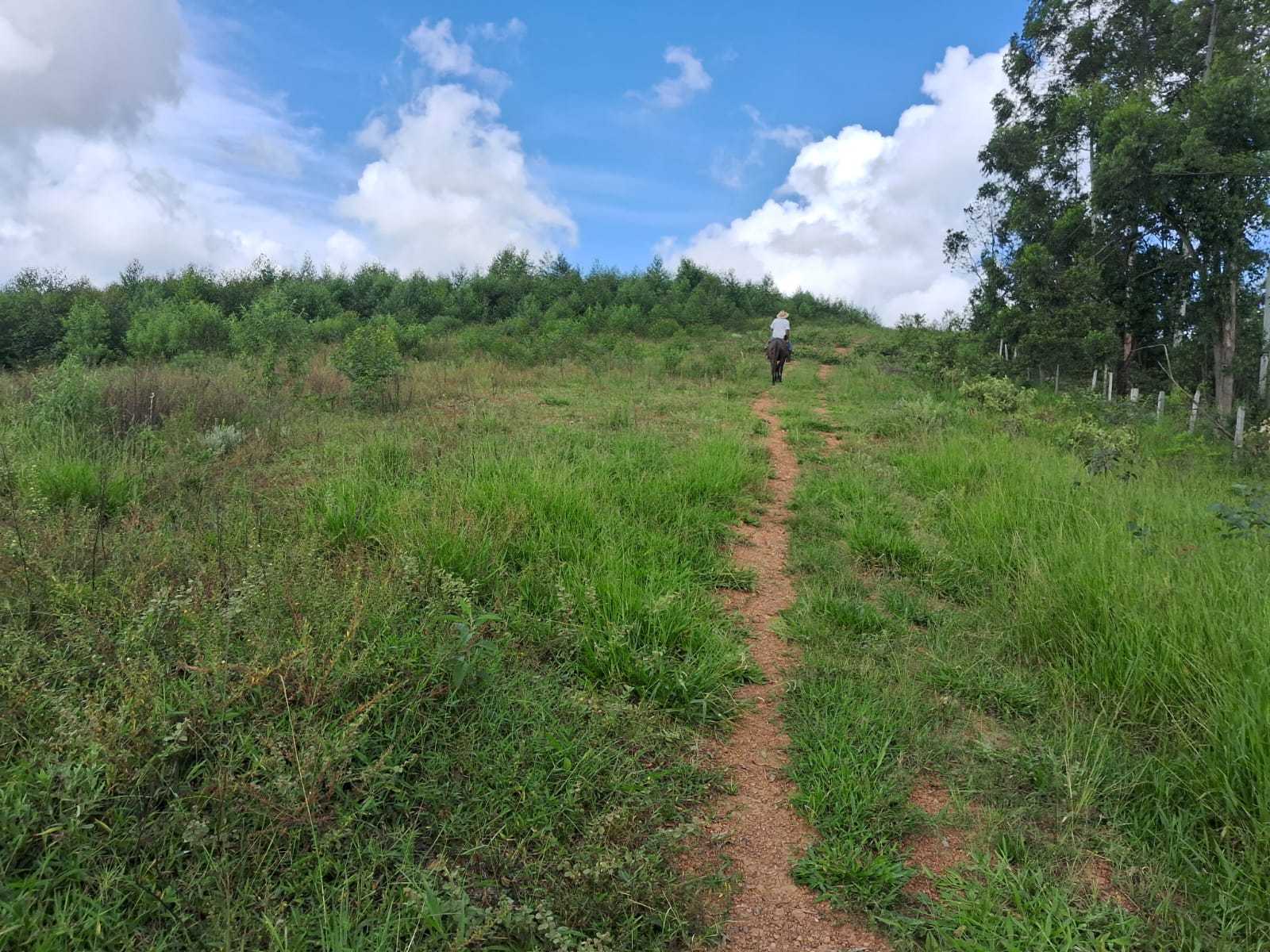 Fazenda, 179 hectares - Foto 9
