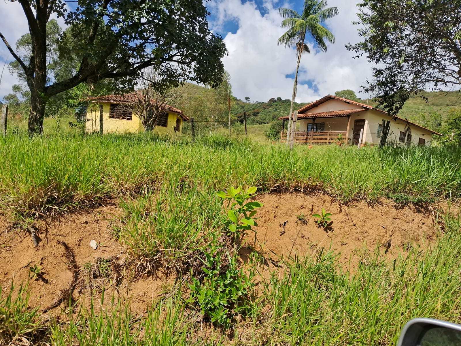 Fazenda, 179 hectares - Foto 22
