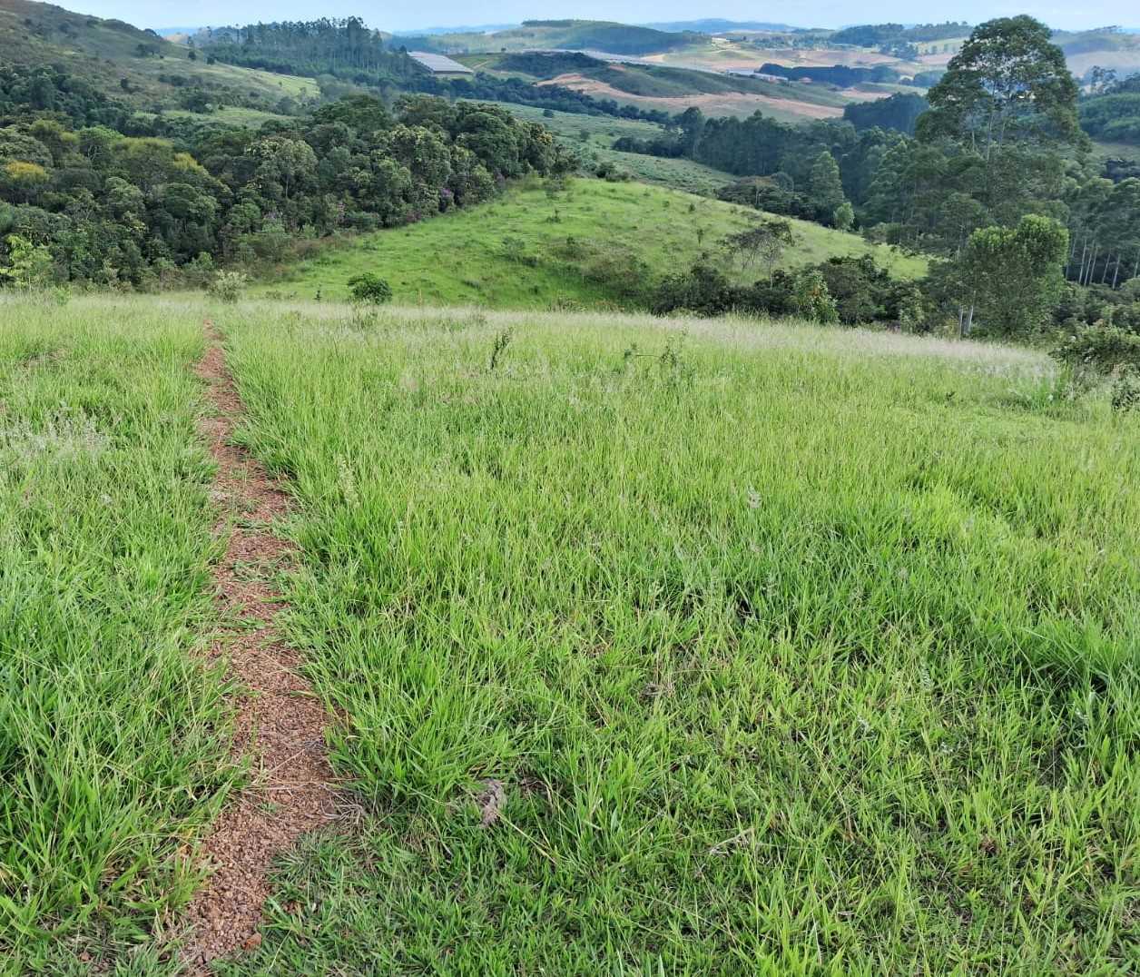 Fazenda, 179 hectares - Foto 6