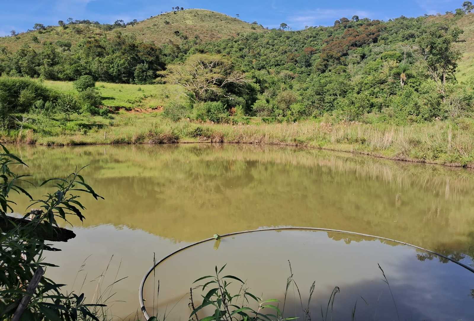 Fazenda, 179 hectares - Foto 21