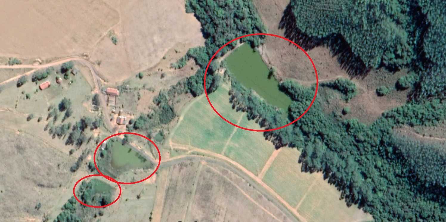 Fazenda, 179 hectares - Foto 24