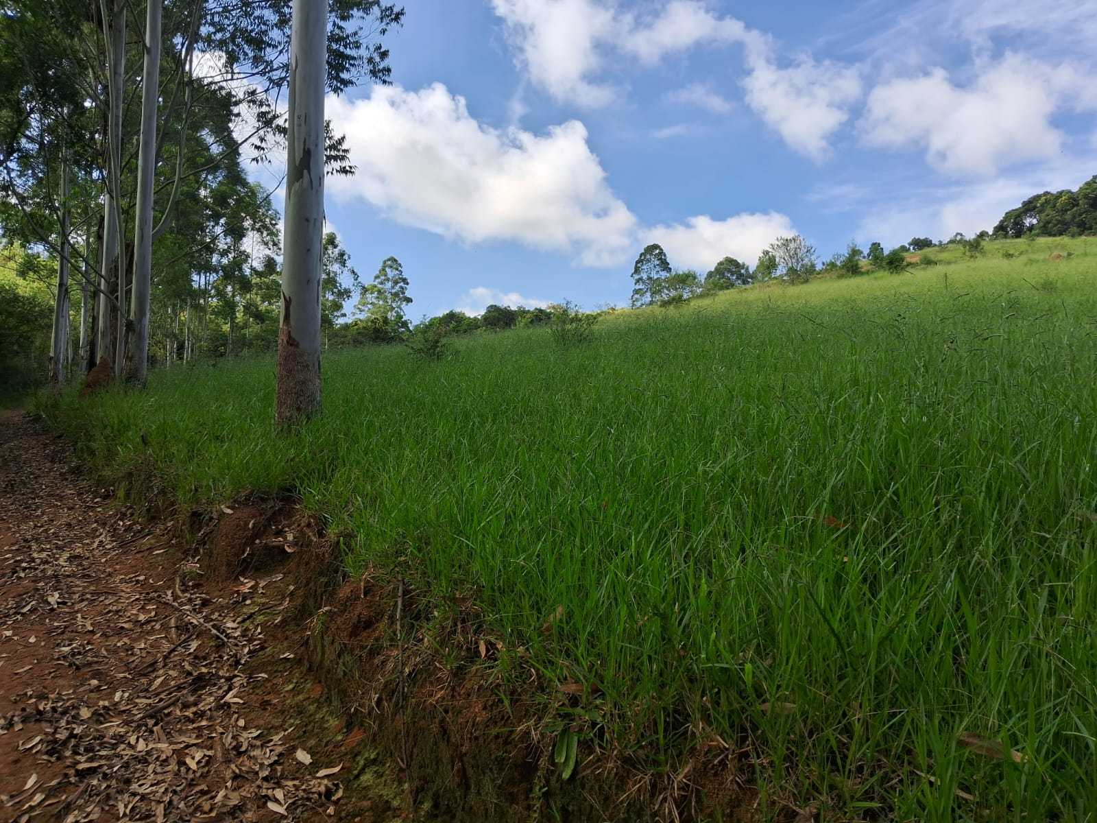 Fazenda, 179 hectares - Foto 15