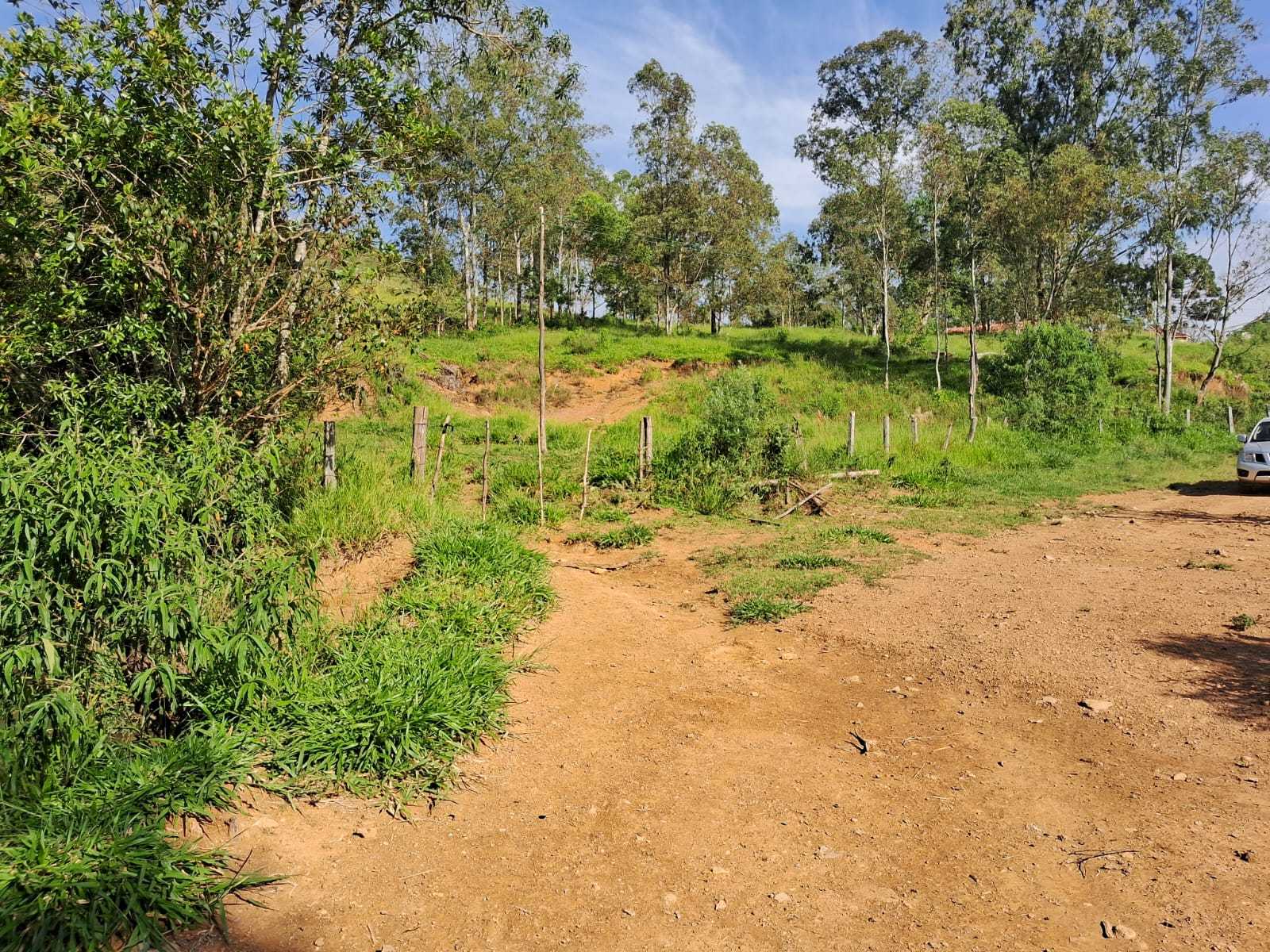 Fazenda, 179 hectares - Foto 16