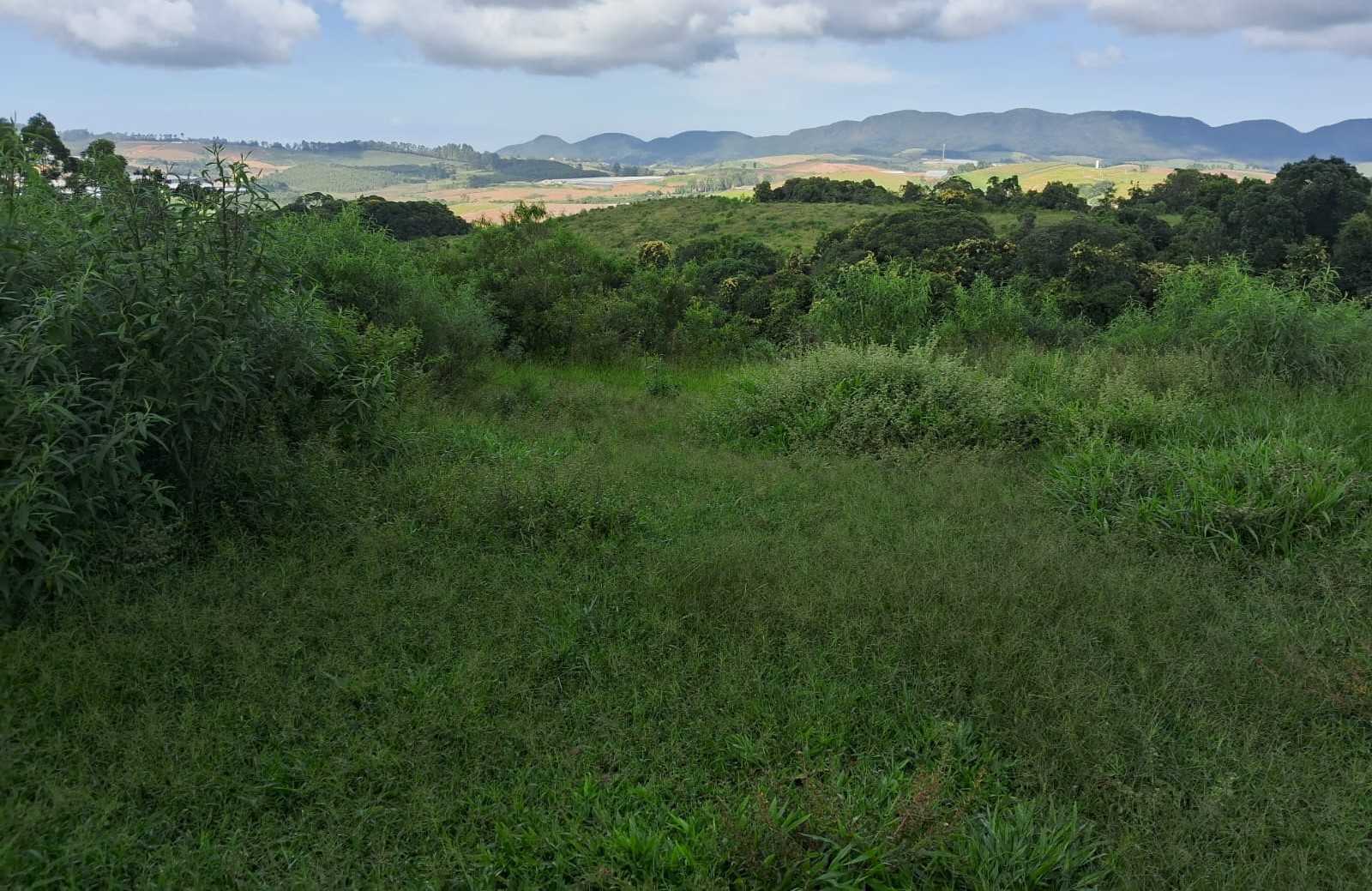 Fazenda, 179 hectares - Foto 8