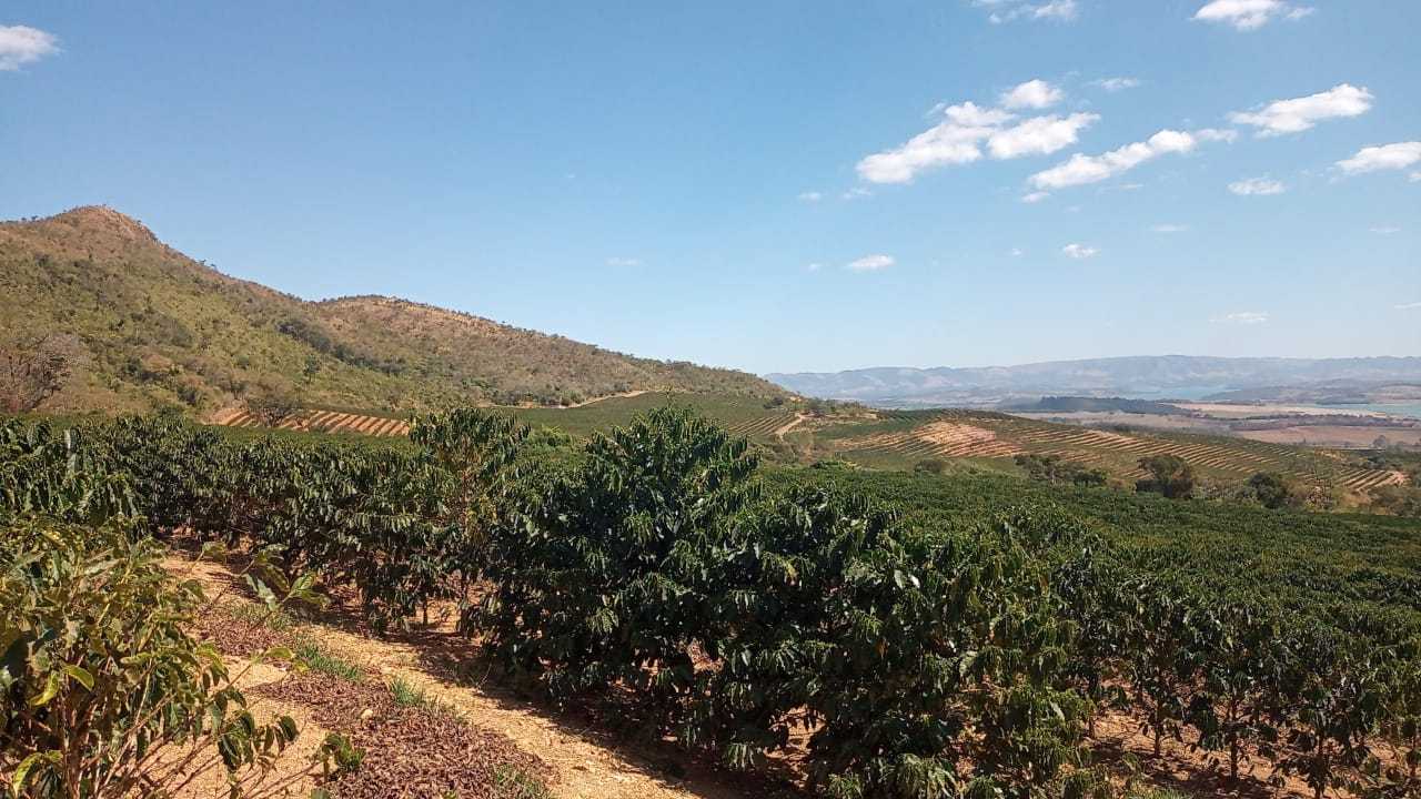 Fazenda, 126 hectares - Foto 8