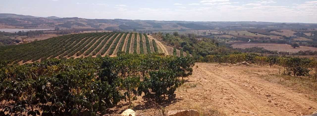 Fazenda, 126 hectares - Foto 9