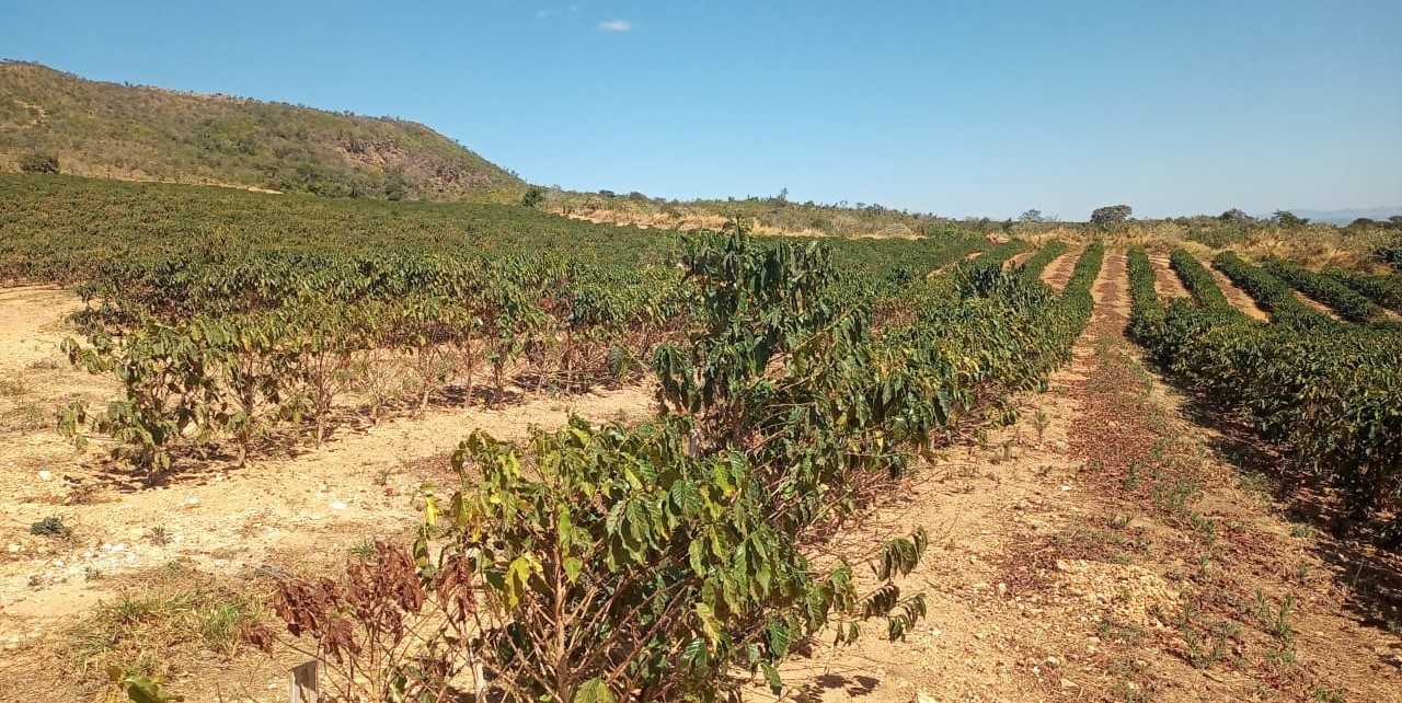 Fazenda, 126 hectares - Foto 11