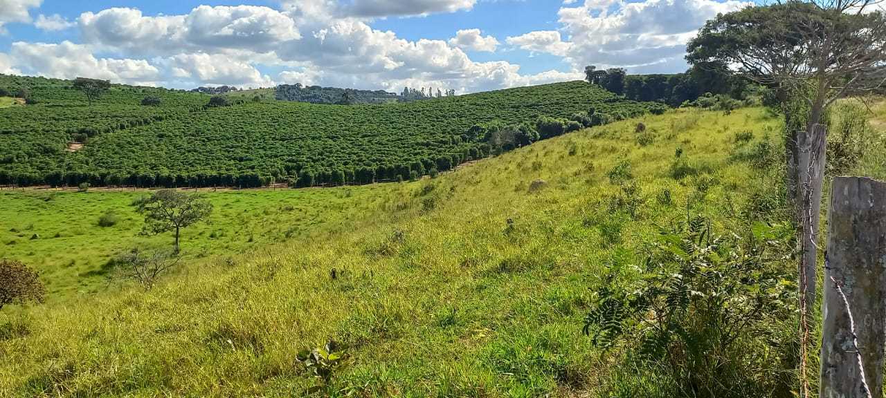 Fazenda, 401 hectares - Foto 3