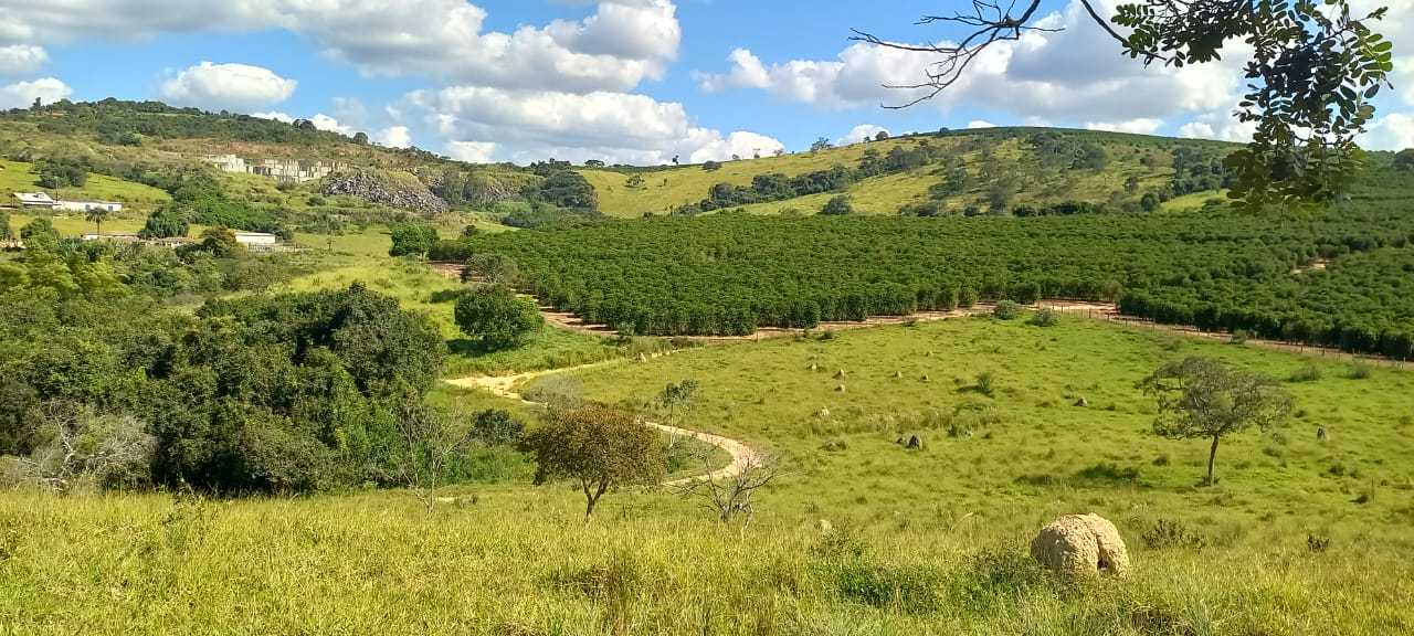 Fazenda, 401 hectares - Foto 20