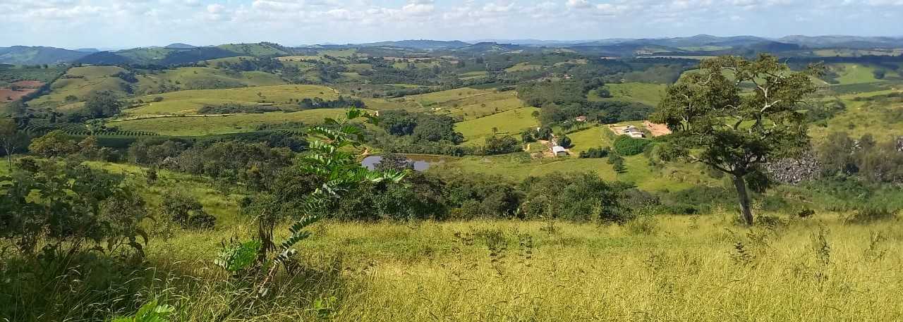Fazenda, 401 hectares - Foto 4