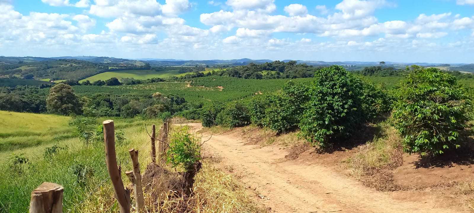 Fazenda, 401 hectares - Foto 13