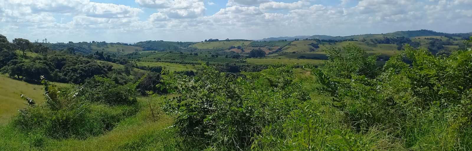 Fazenda, 401 hectares - Foto 12