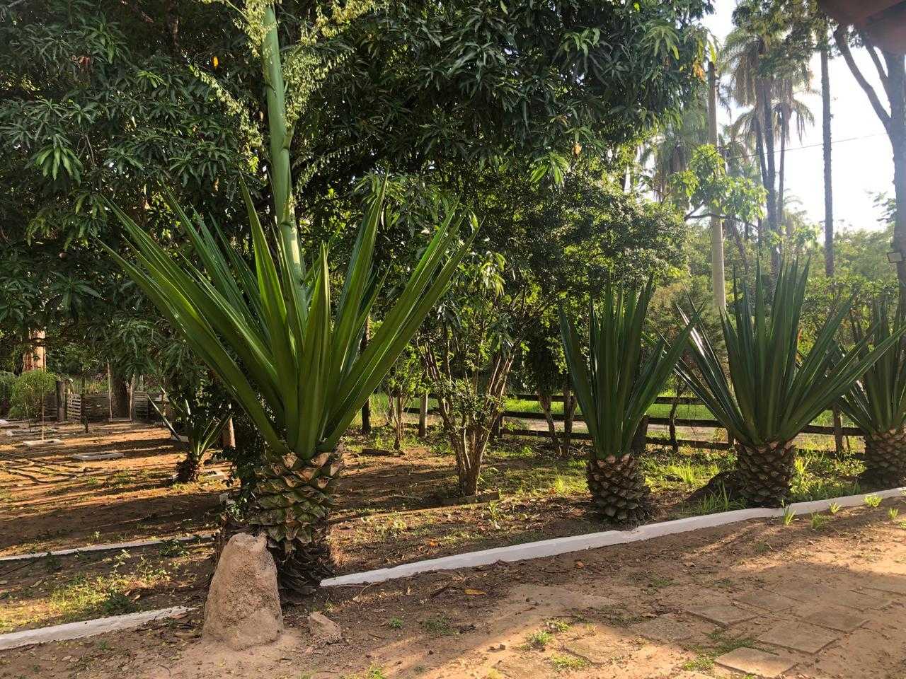 Chácara, 4 quartos, 420 m² - Foto 16