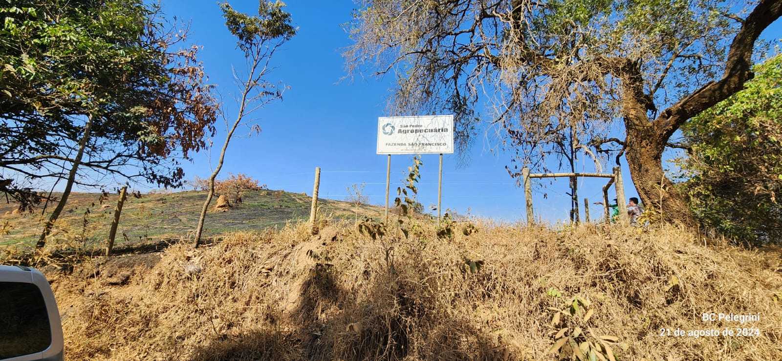 Fazenda, 950 hectares - Foto 3