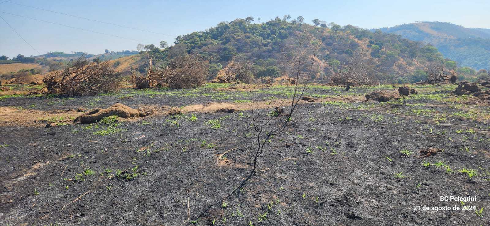 Fazenda, 950 hectares - Foto 1