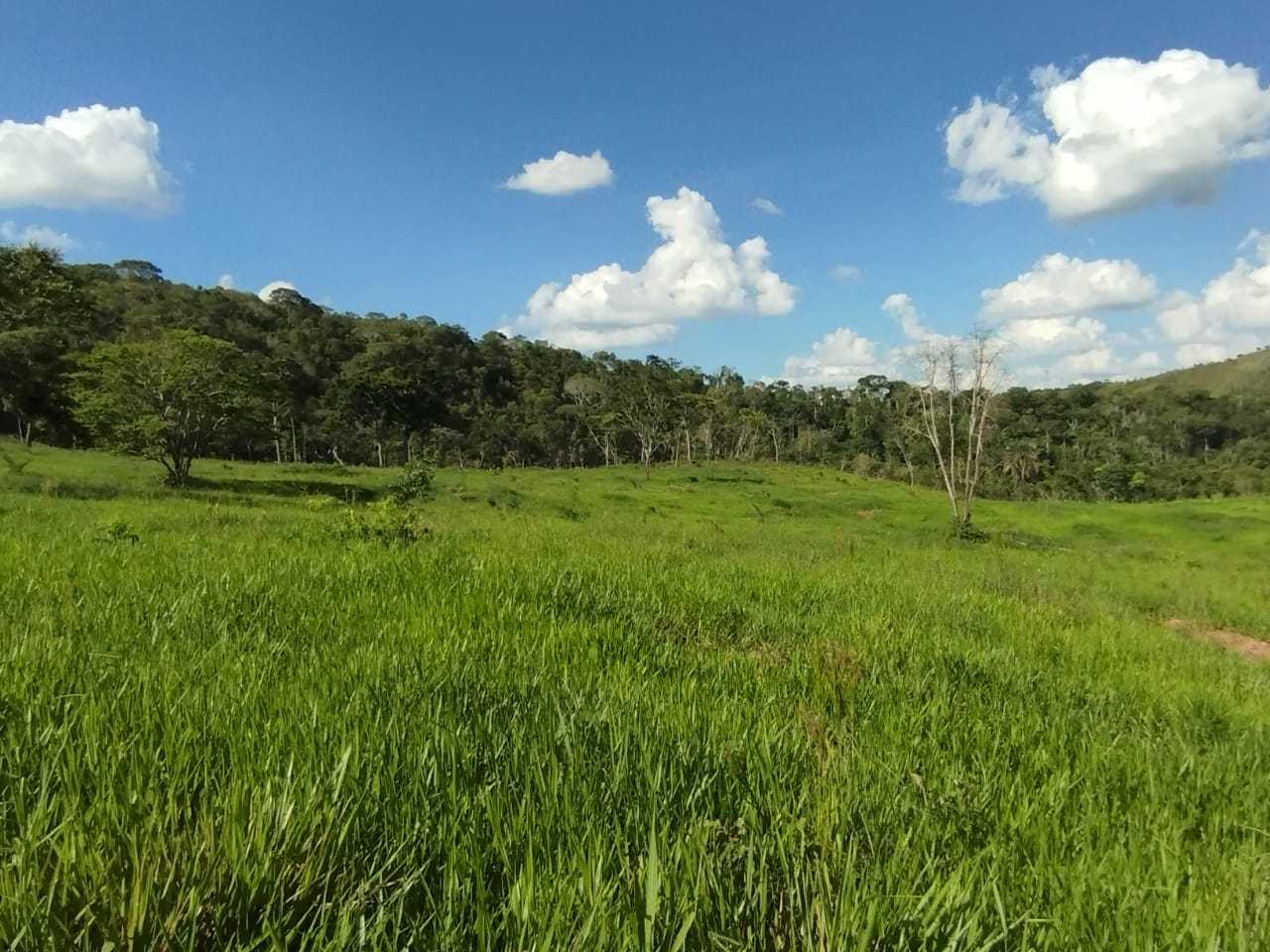 Fazenda, 730 hectares - Foto 17