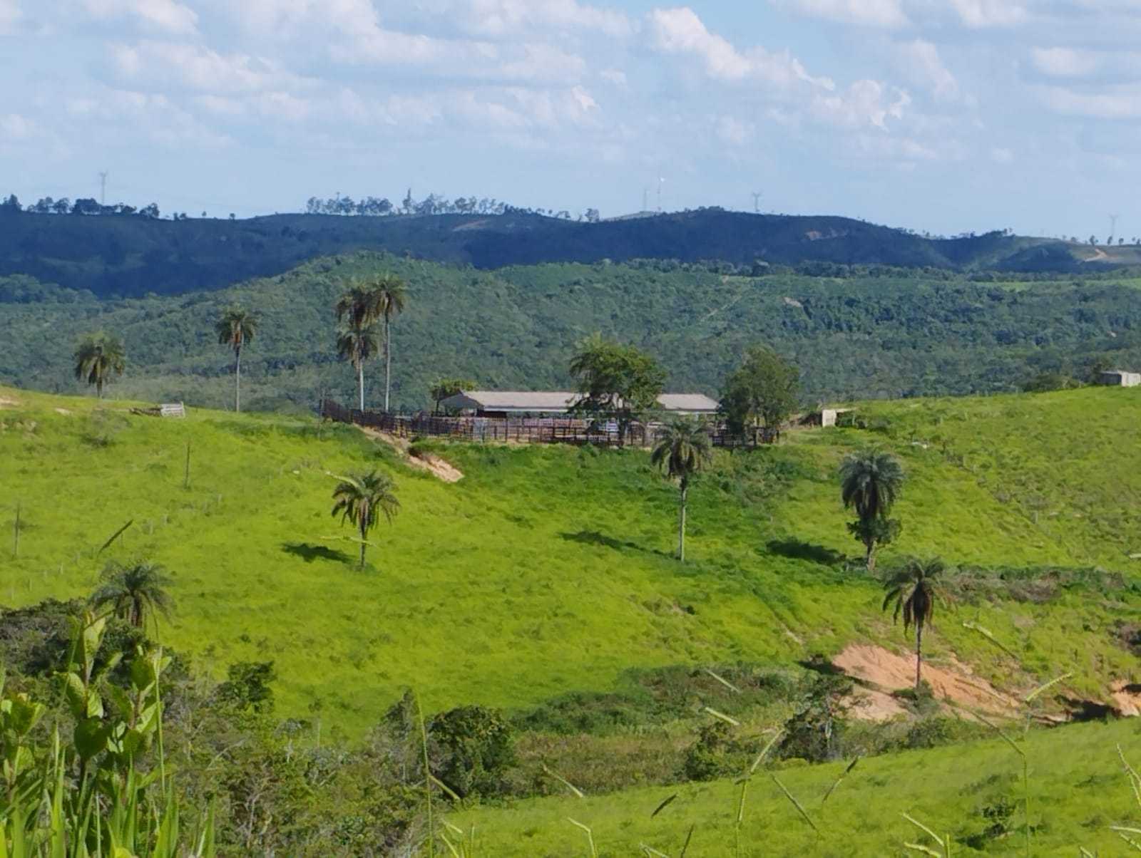 Fazenda, 730 hectares - Foto 1