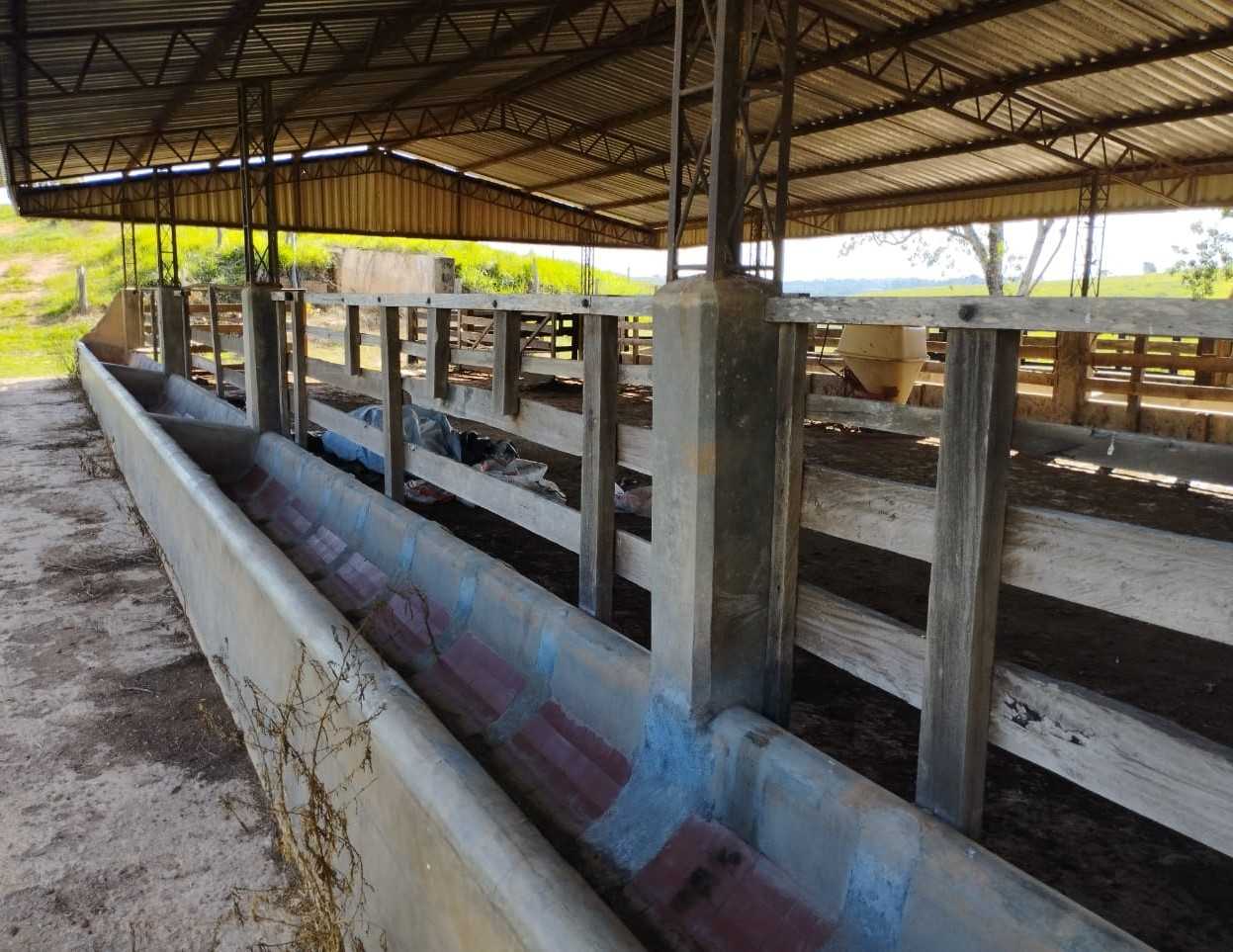 Fazenda, 730 hectares - Foto 12