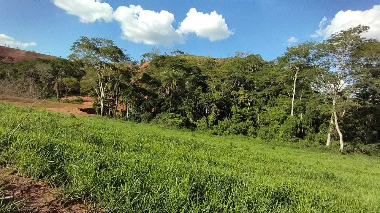 Fazenda, 730 hectares - Foto 6