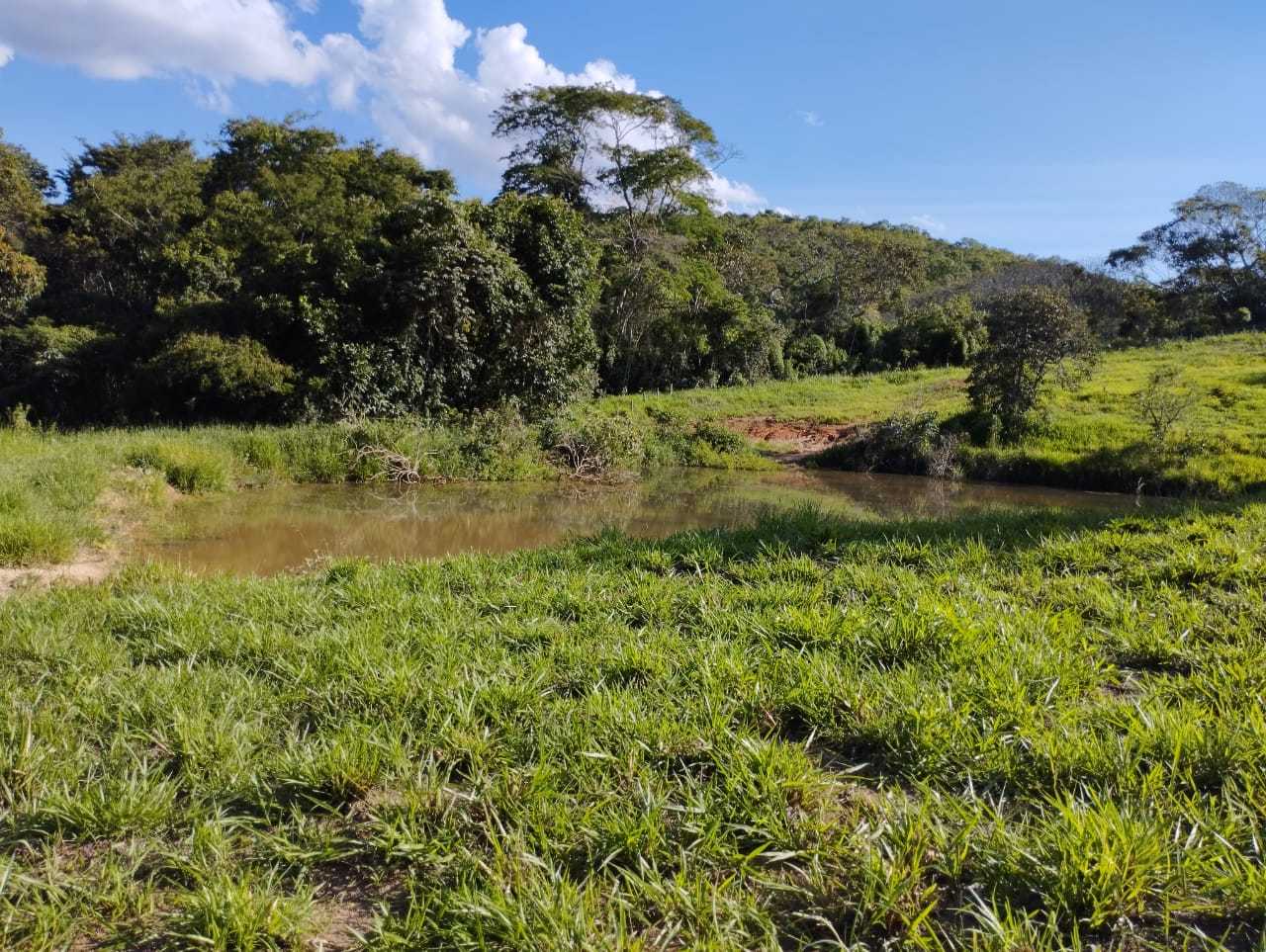 Fazenda, 730 hectares - Foto 11