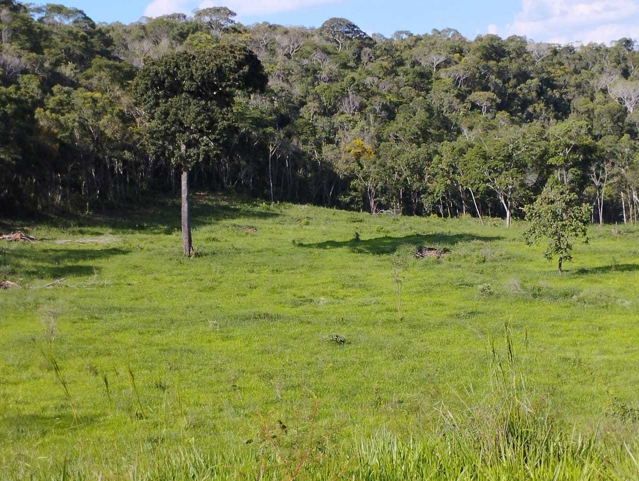 Fazenda, 730 hectares - Foto 21