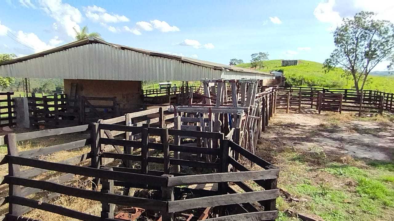 Fazenda, 730 hectares - Foto 13