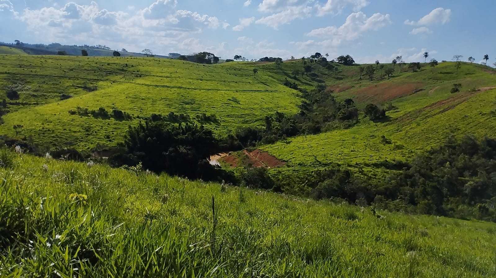 Fazenda, 730 hectares - Foto 9