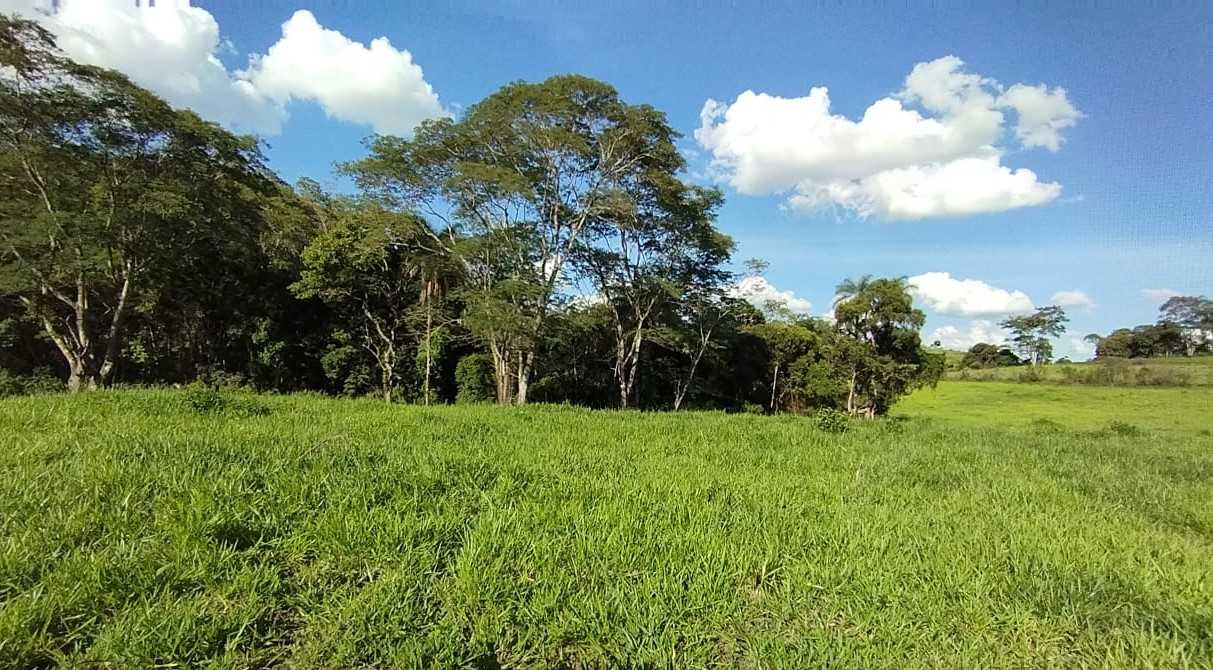 Fazenda, 730 hectares - Foto 7