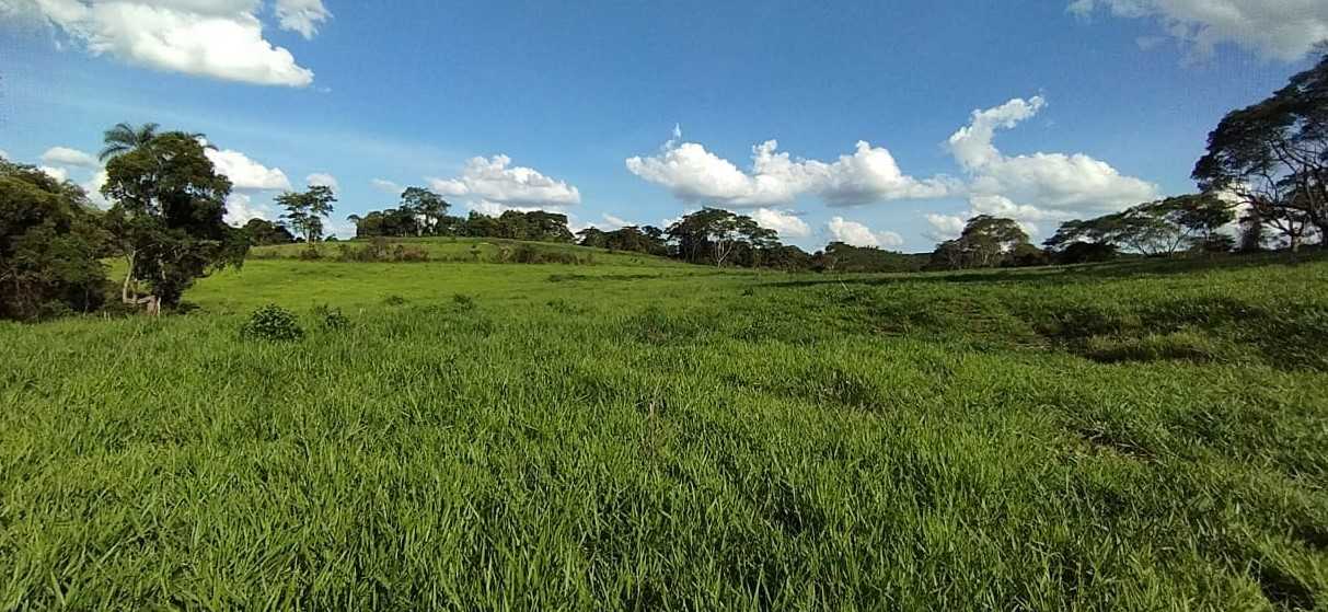 Fazenda, 730 hectares - Foto 4