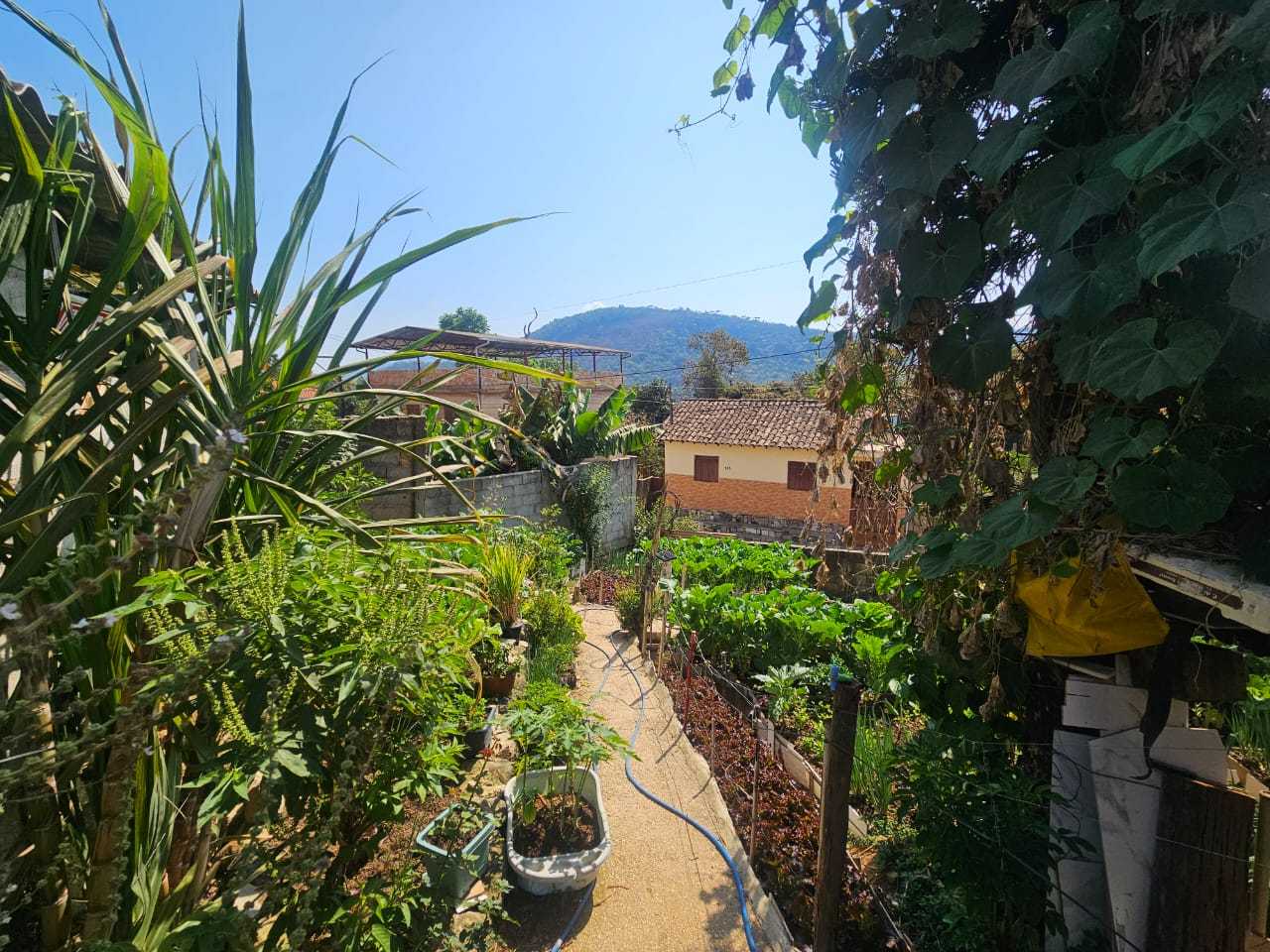 Casa, 4 quartos, 141 m² - Foto 1