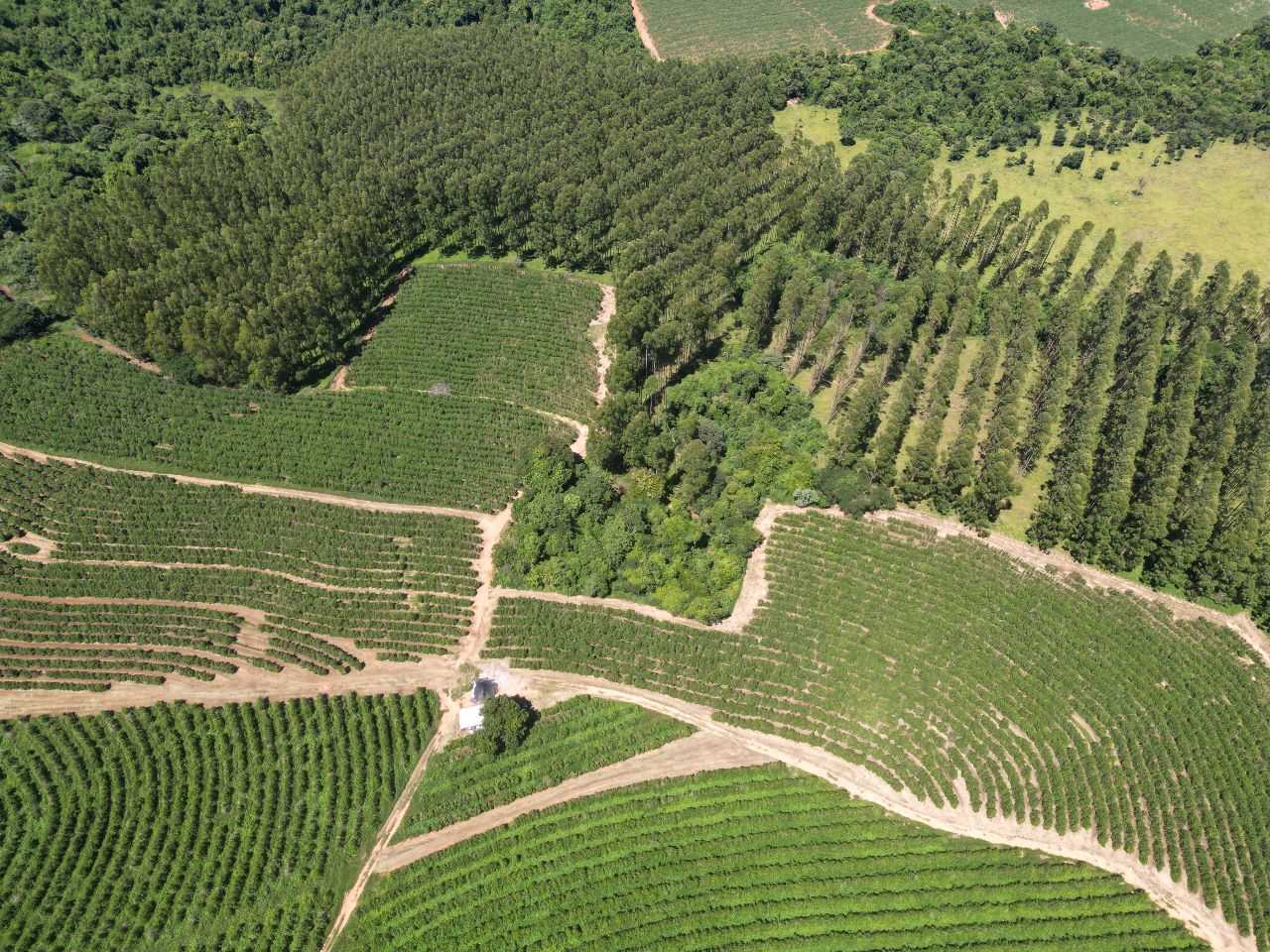 Fazenda, 79 hectares - Foto 22