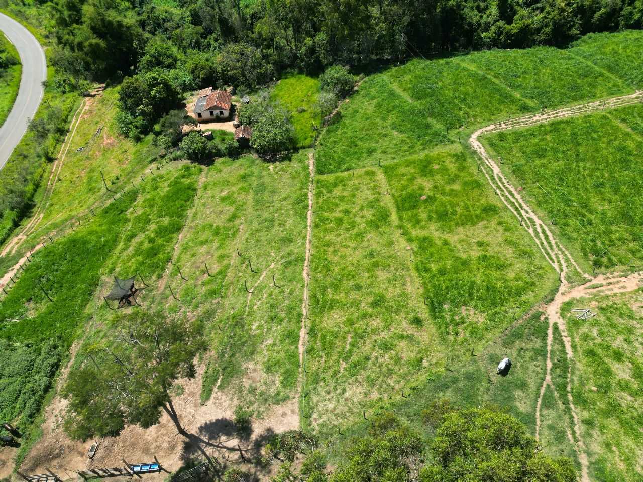 Fazenda, 79 hectares - Foto 17