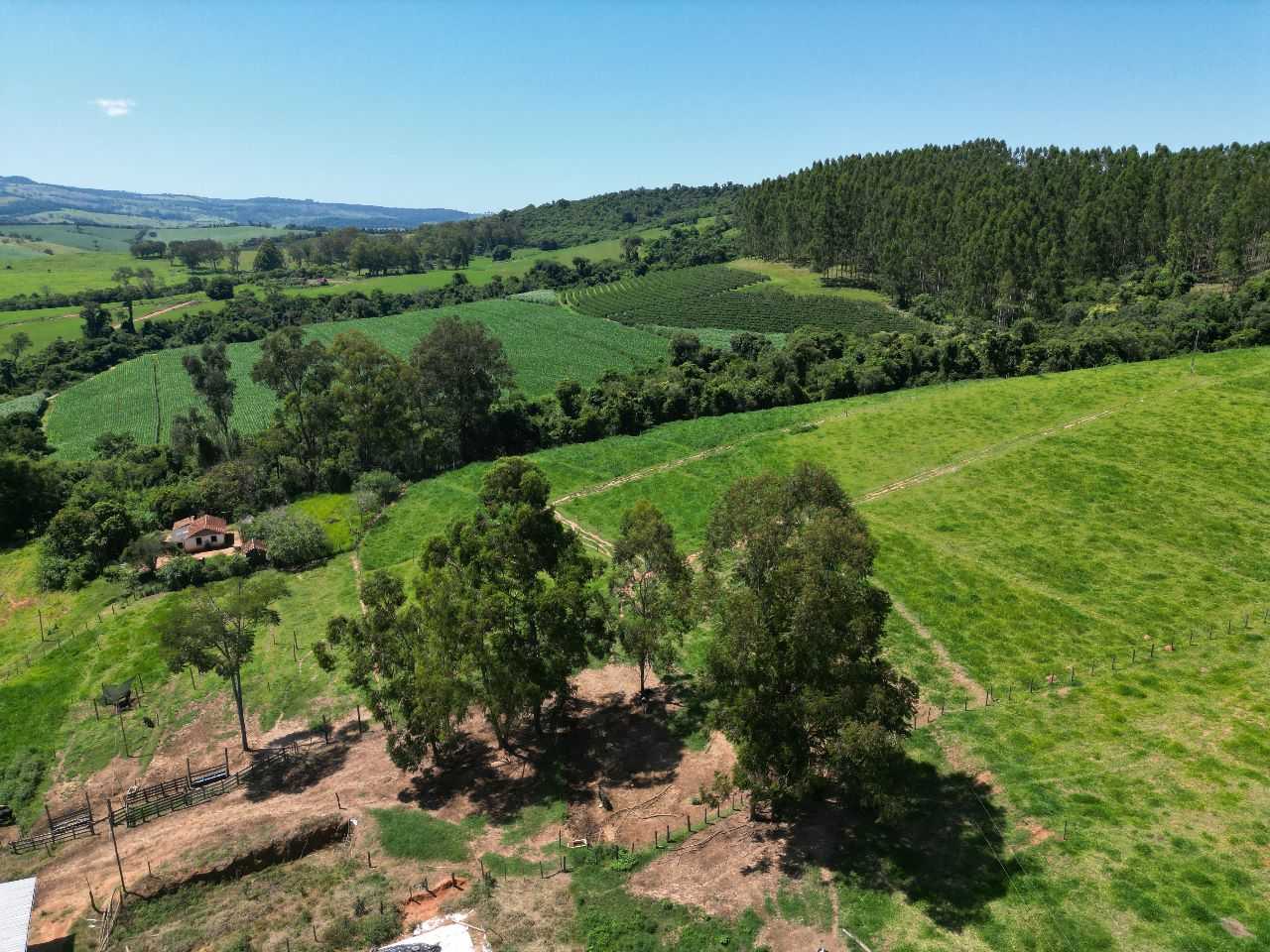 Fazenda, 79 hectares - Foto 18