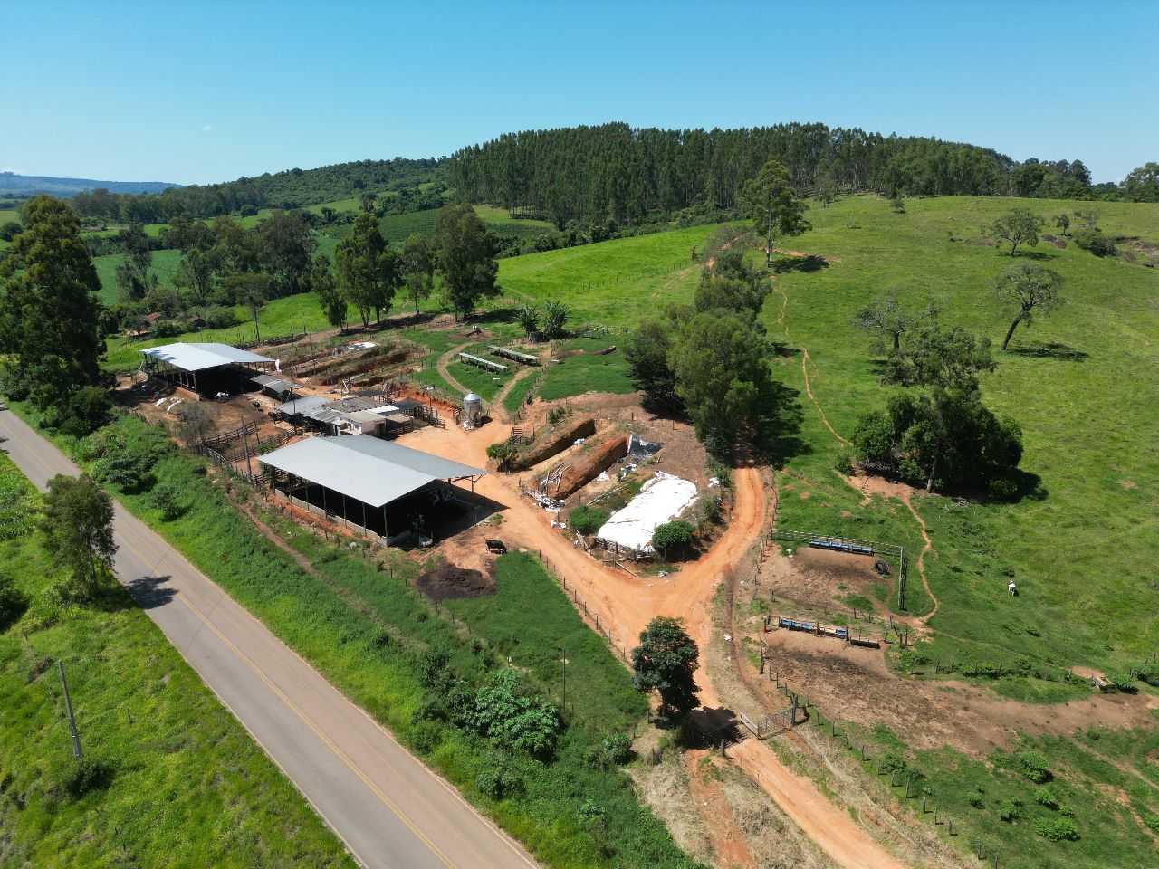 Fazenda, 79 hectares - Foto 5