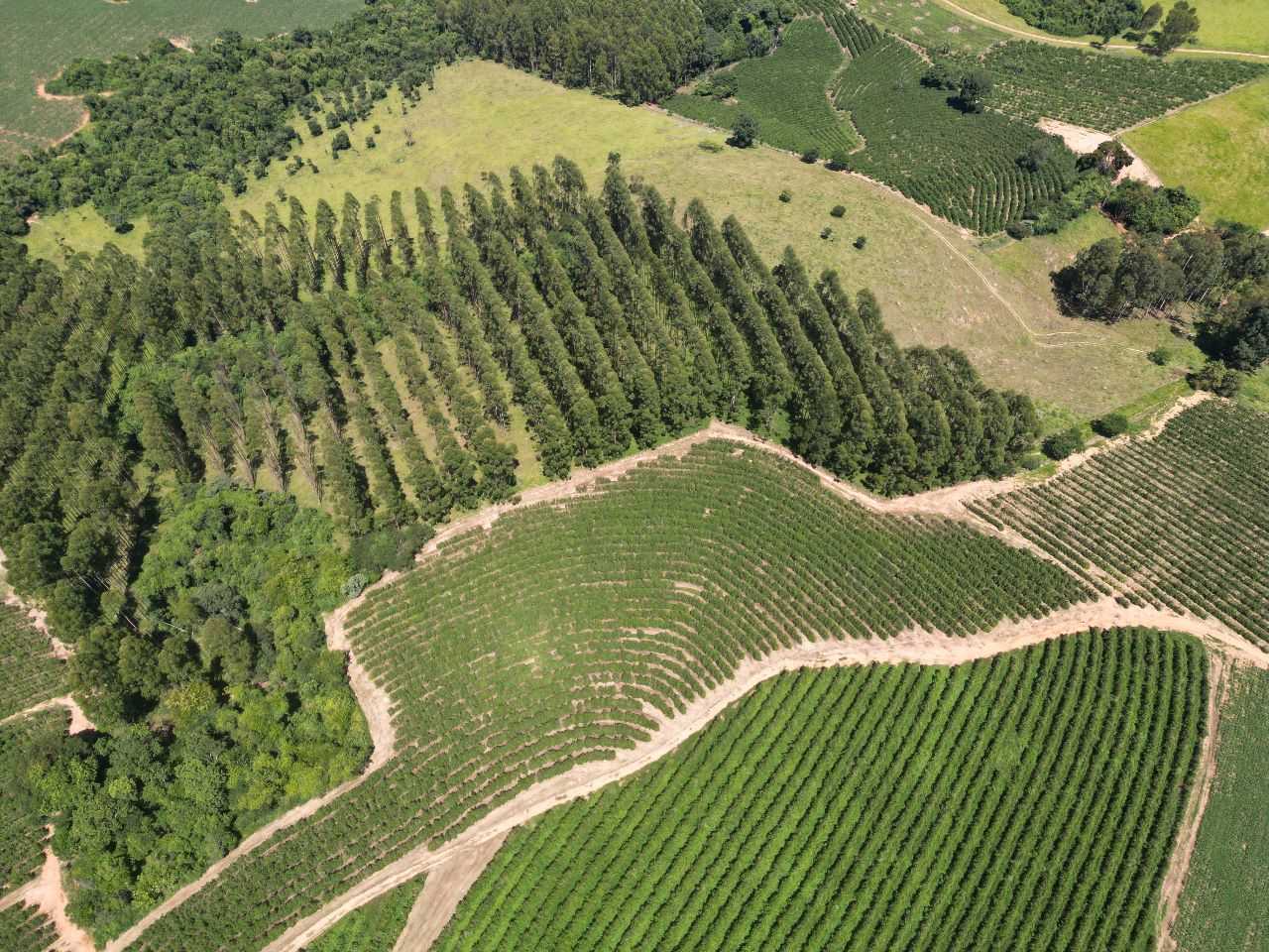 Fazenda, 79 hectares - Foto 20