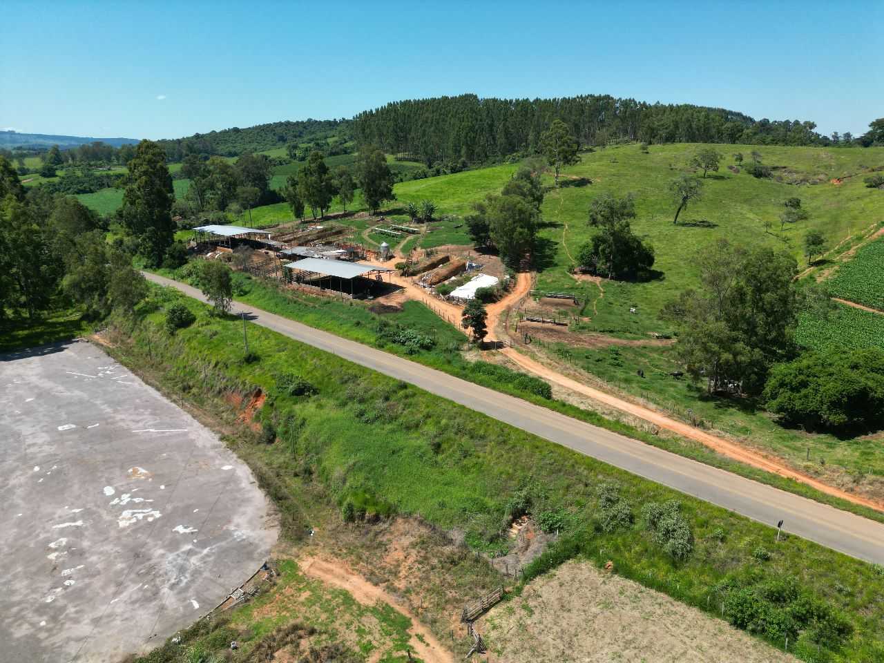 Fazenda, 79 hectares - Foto 7